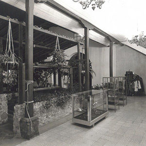 DECADA-70-(3)